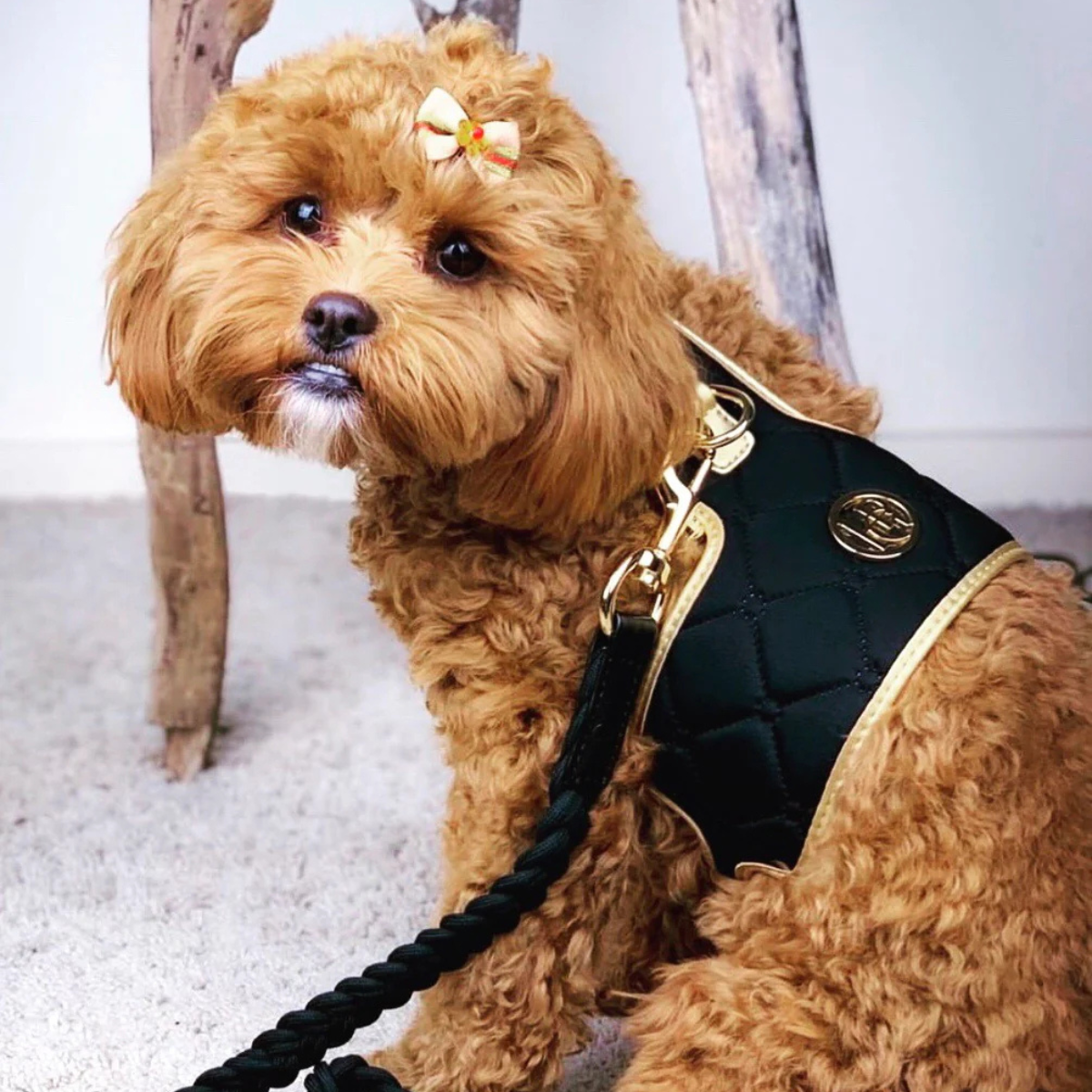 Knight Luxury Dog Harness