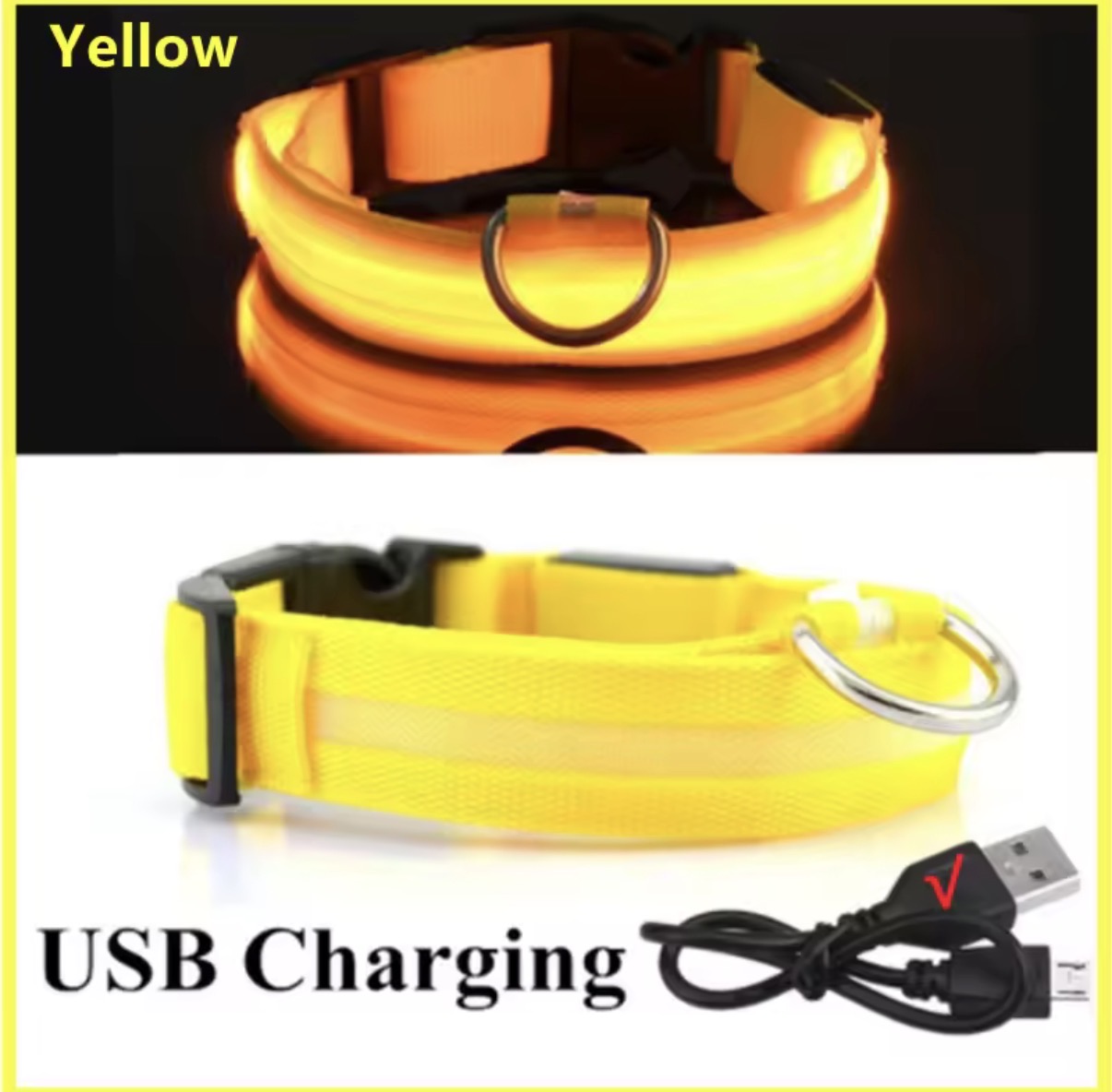 USB Rechargeable LED Dog Collar