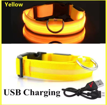 USB Rechargeable LED Dog Collar