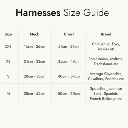 Aurora Luxury Dog Harness