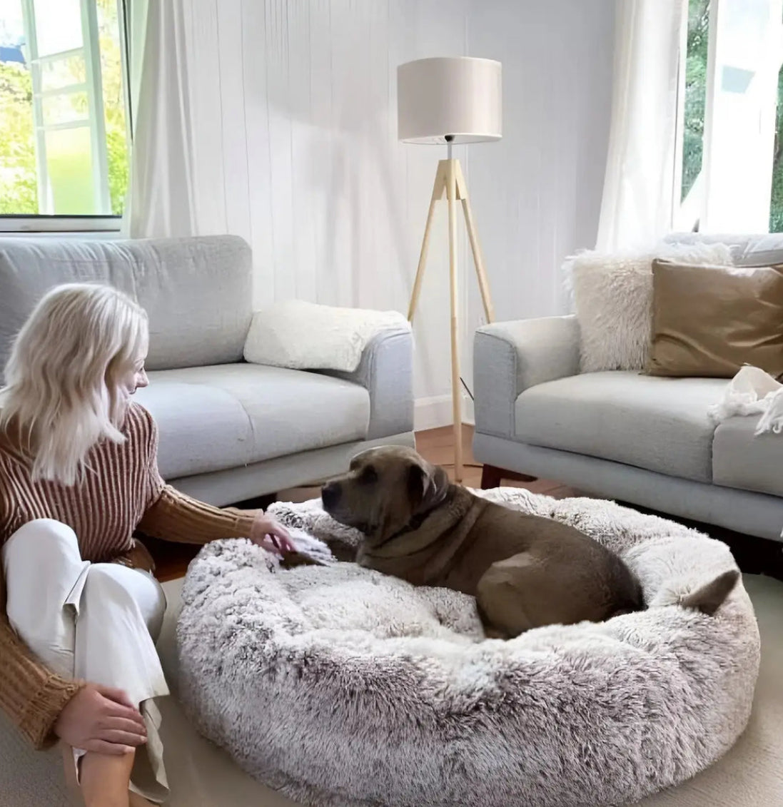 Cloud 9 Anxiety Relieving Dog Bed