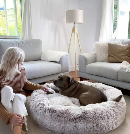 Cloud 9 Anxiety Relieving Dog Bed