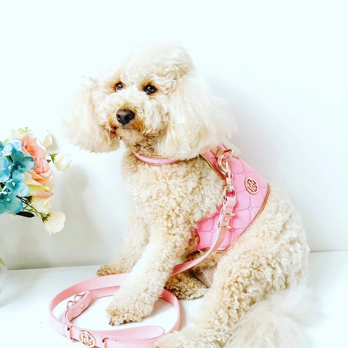 Aurora Luxury Dog Harness