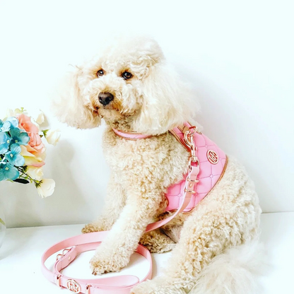 Aurora Luxury Dog Harness