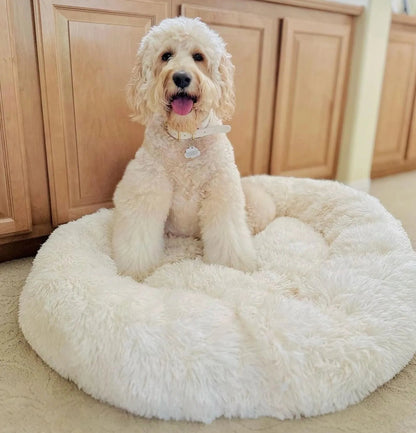 Cloud 9 Anxiety Relieving Dog Bed