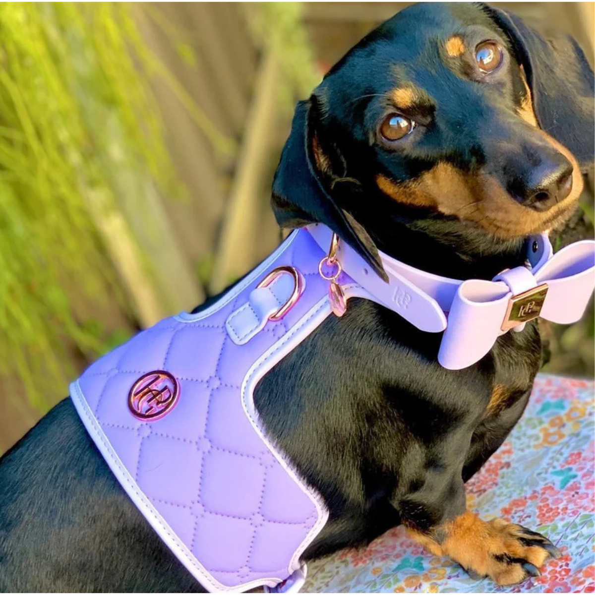 Lilac Luxury Dog Harness