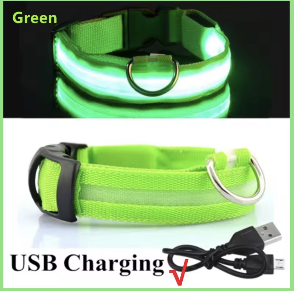 USB Rechargeable LED Dog Collar