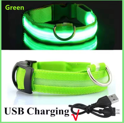 USB Rechargeable LED Dog Collar