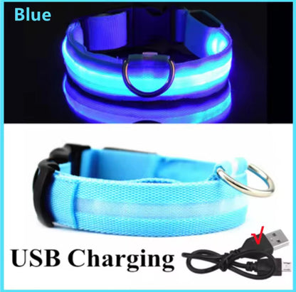 USB Rechargeable LED Dog Collar