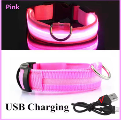 USB Rechargeable LED Dog Collar