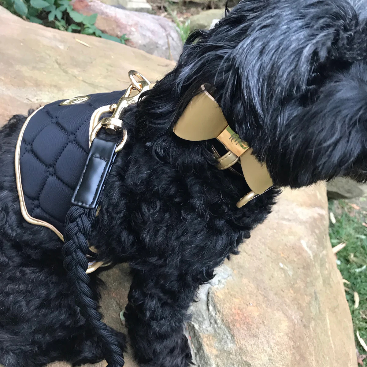 Knight Luxury Dog Harness
