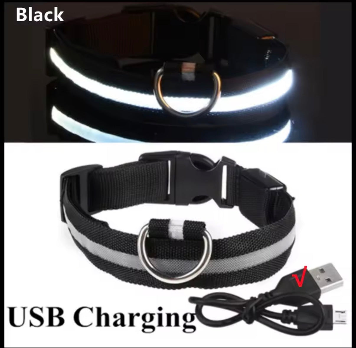 USB Rechargeable LED Dog Collar