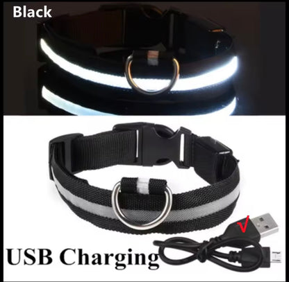 USB Rechargeable LED Dog Collar
