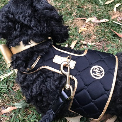 Knight Luxury Dog Harness