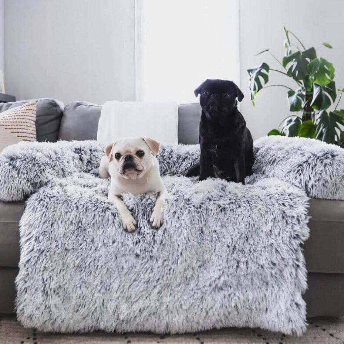 Fluffy Couch Cover